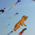 Kite ‘Fun Fly’ Happening Saturday